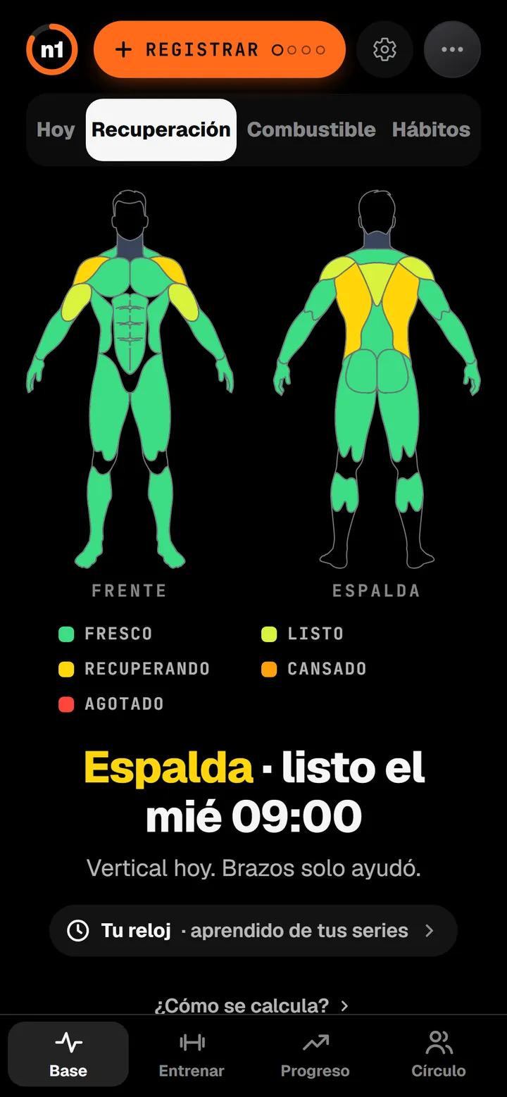 La pantalla de recuperación de n1: una figura del cuerpo, de frente y de espaldas, con cada músculo coloreado de fresco a agotado.